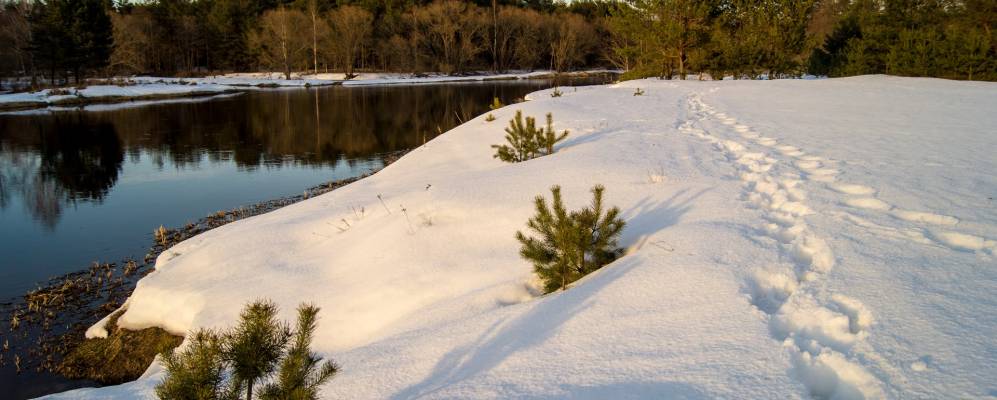 
            Фотография Глинного