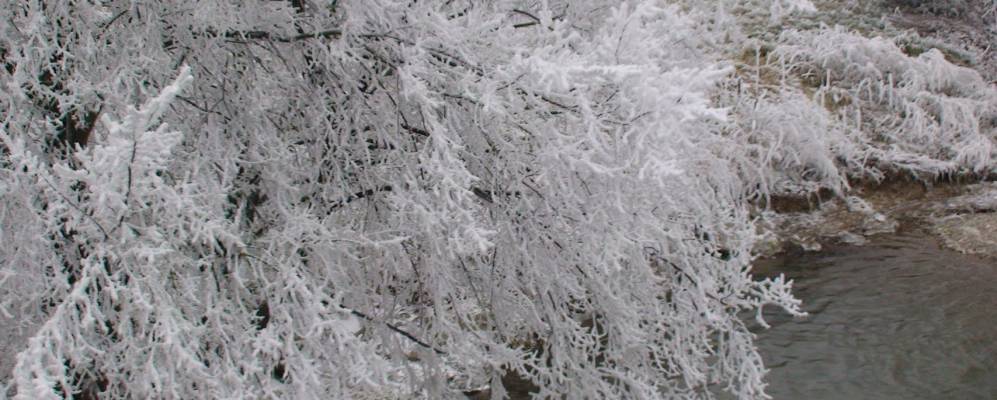 
            Фотография Зюндхофена