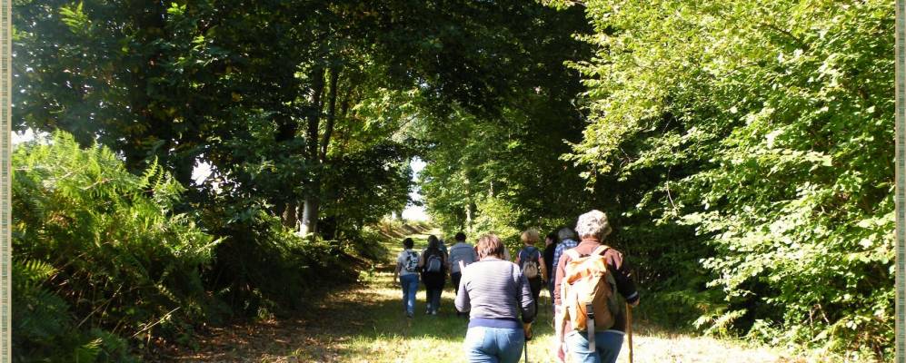 
            Фотография Saint-Samson-sur-Rance