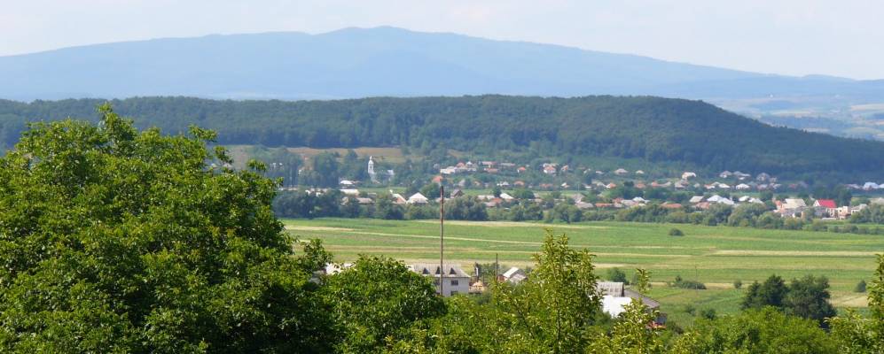 
            Фотография Боржавского