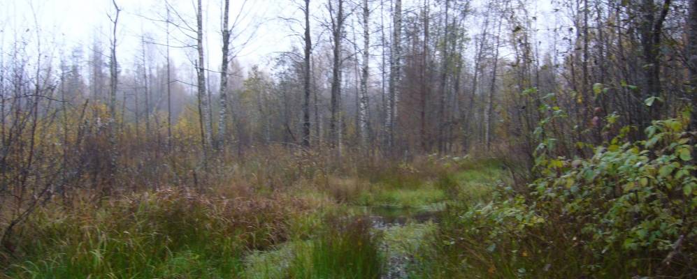 
            Фотография Беглово