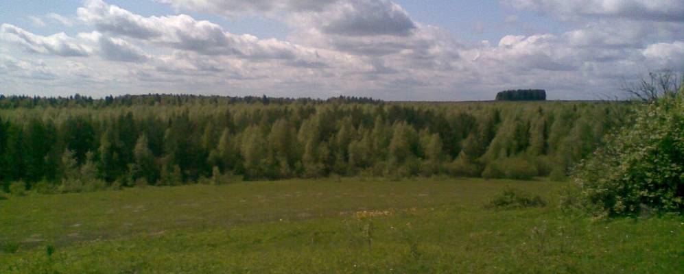 
            Фотография Харино