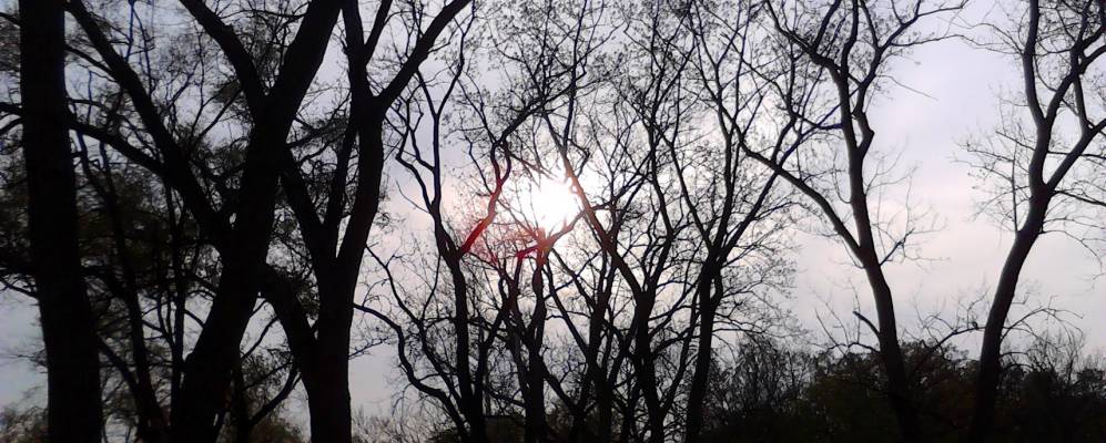 
            Фотография Ходгкинса