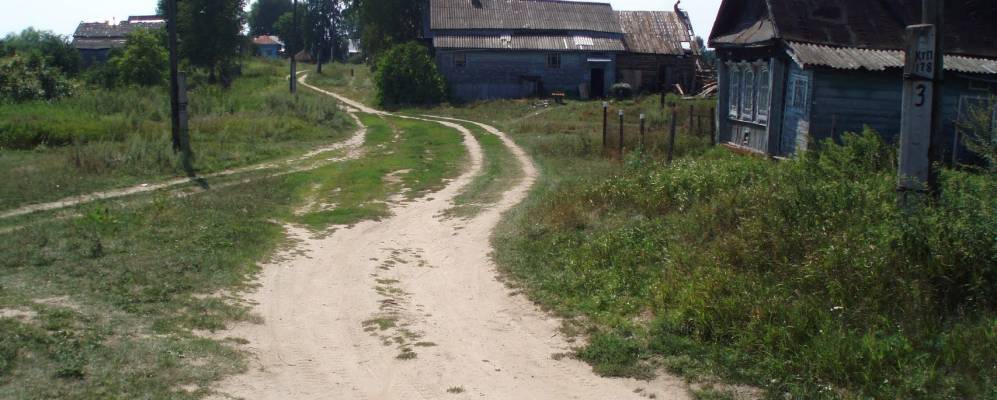 
            Фотография Красного Бора