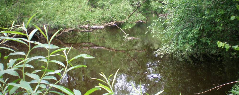 Фотография Свирково