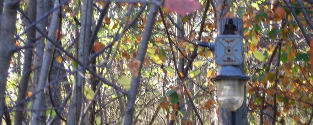 
            Фотография Веригино