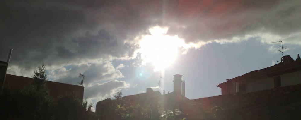 Фотография Сельи