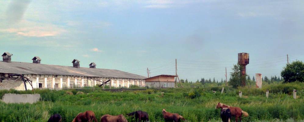 
            Фотография Двинской