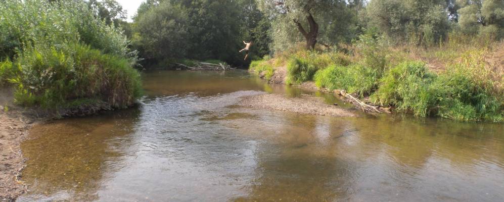 
            Фотография Горнево