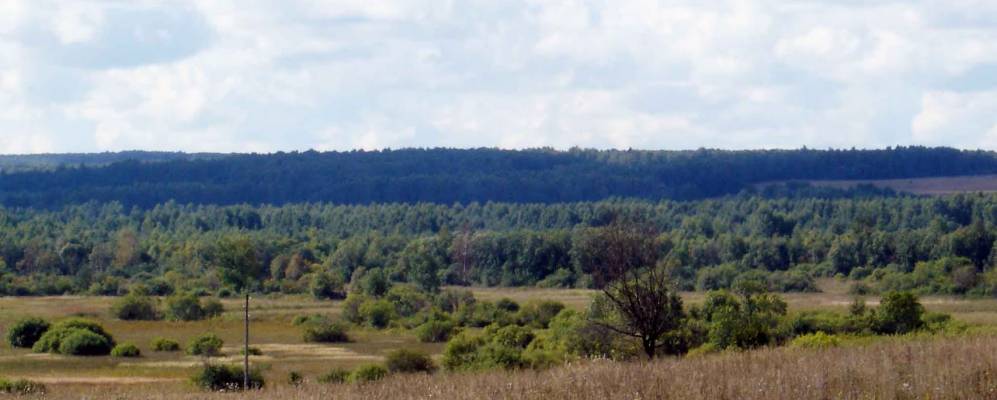 Фотография Осиновки