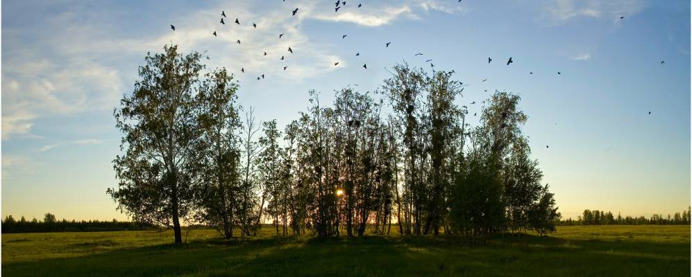 
            Фотография Куликово