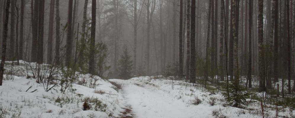 
            Фотография деревни Гостибицы