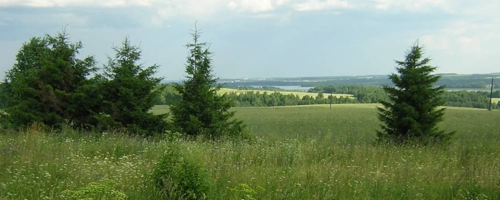 Фотография Загоры