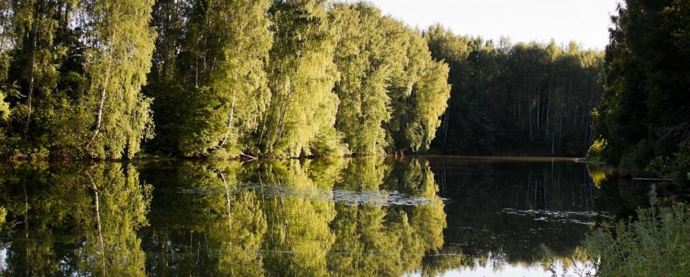 
            Фотография Ваулино