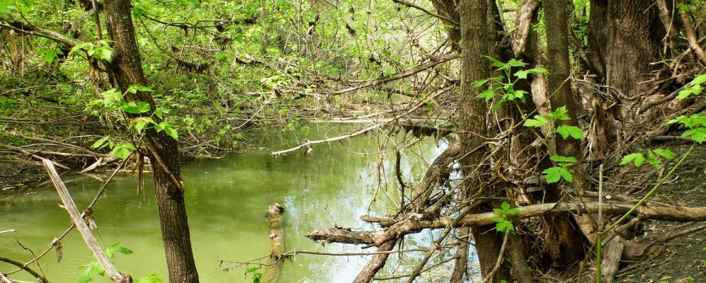 Фотография Дмитриевки