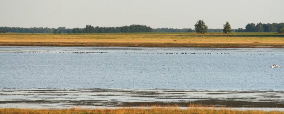 
            Фотография Покровки