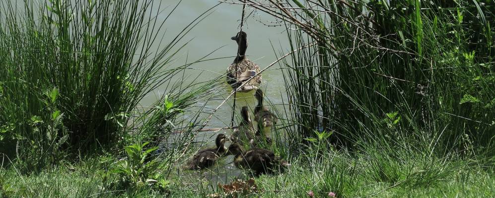 
            Фотография Сен-Макэр-ан-Можа