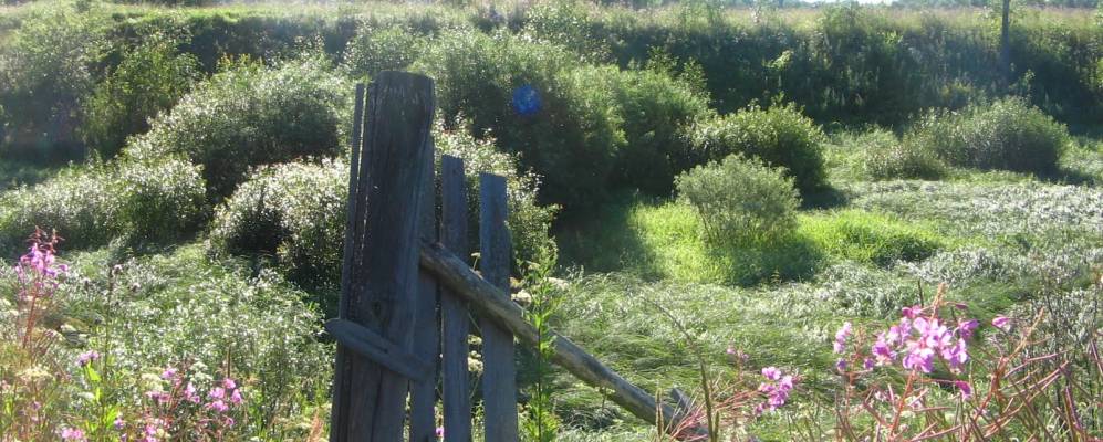 
            Фотография Киево