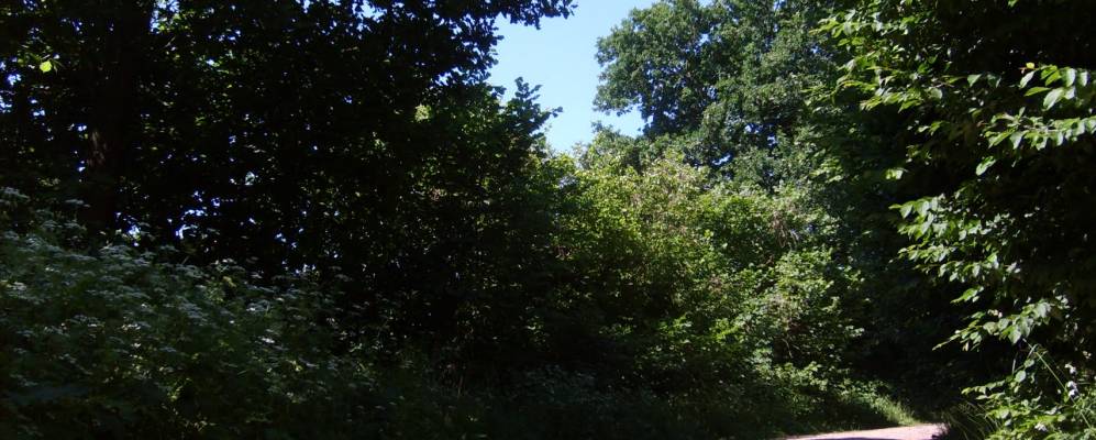 
            Фотография Гросс Куммерфельда