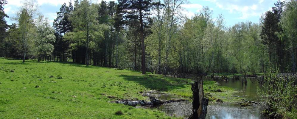 
            Фотография Кладовки