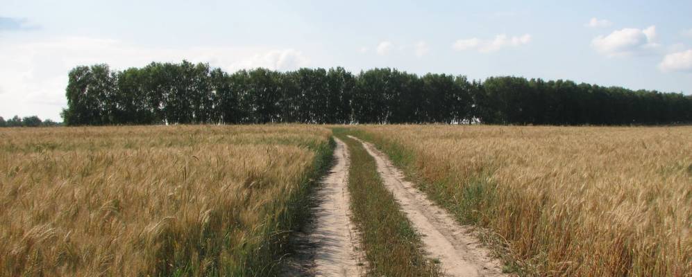 
            Фотография Подъяблонного