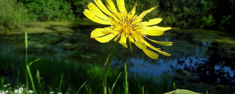 
            Фотография Слободского