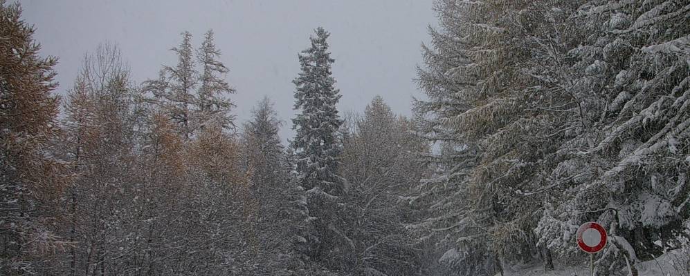 
            Фотография Сее