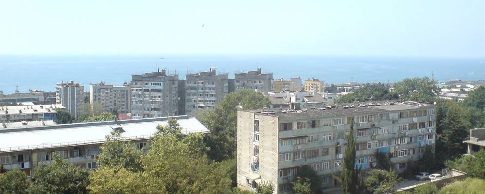 
            Фотография Орла-Изумруда