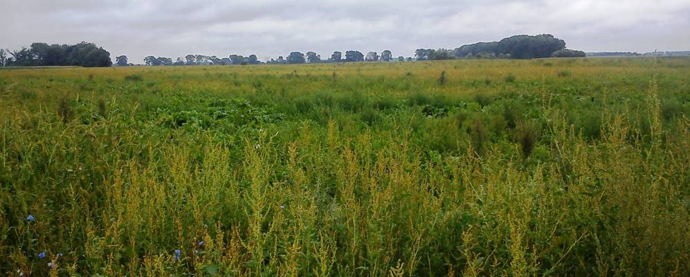 
            Фотография Бекарщины