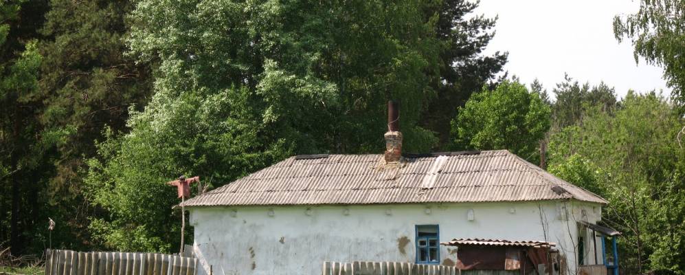 
            Фотография Решетовки