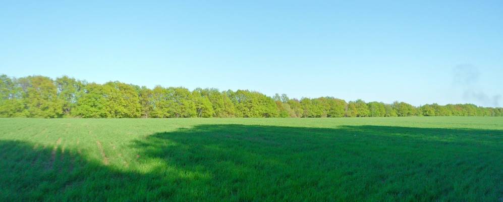 Фотография Веревкино