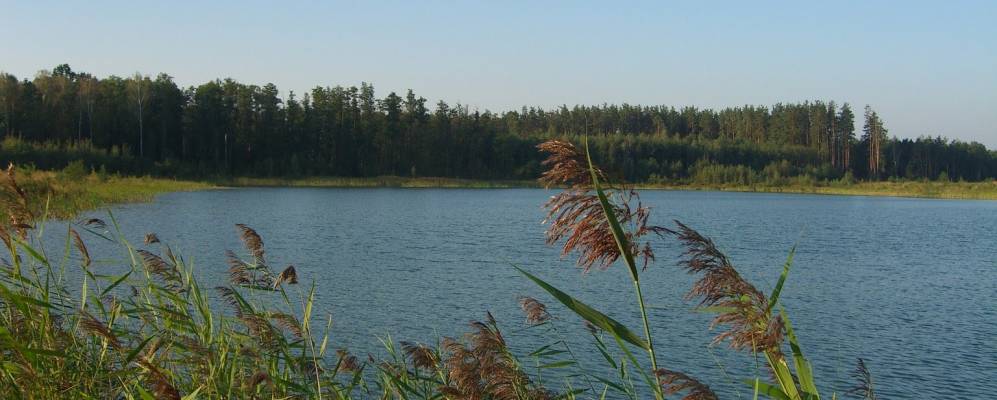 
            Фотография Десятины