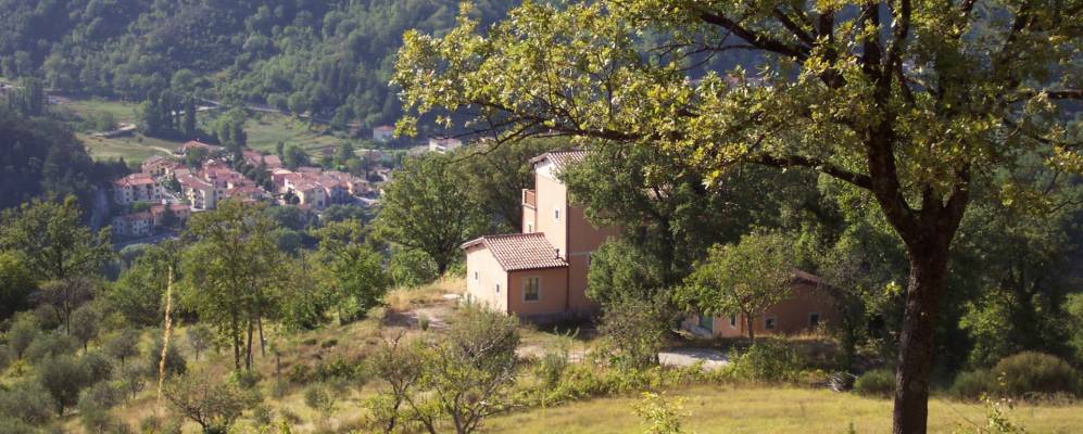 
            Фотография Вальтопины