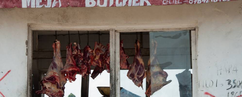 
            Фотография Кивиры