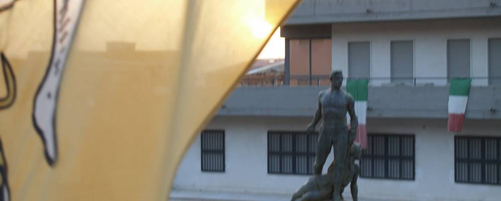 
            Фотография Палагонии