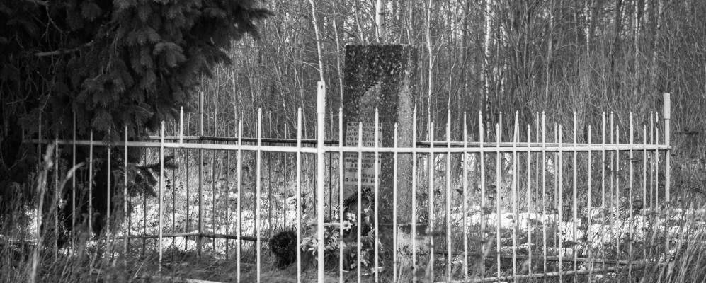 Фотография Порсы