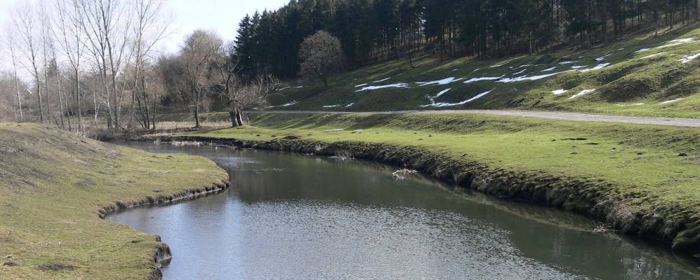 
            Фотография Осники