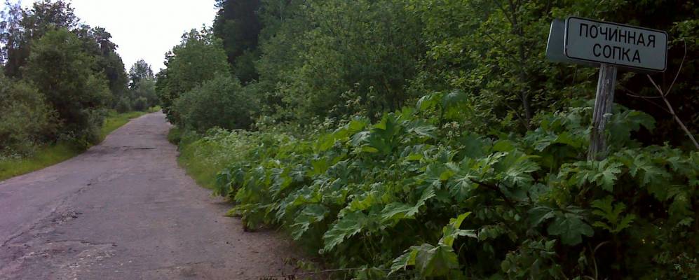 
            Фотография Кононово