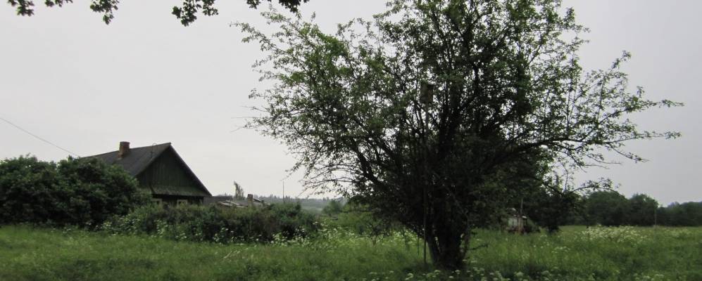 
            Фотография Зеньково