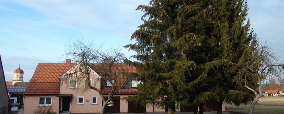 
            Фотография Монхсрота