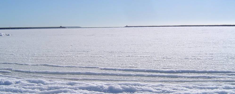 
            Фотография Курыка