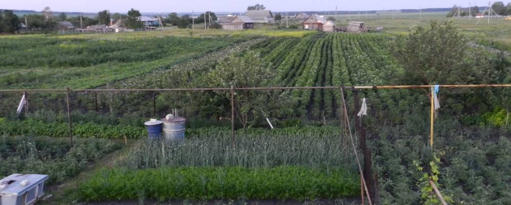 
            Фотография Крестниково