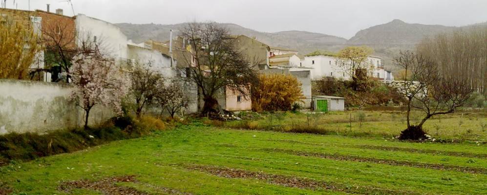 
            Фотография Касин