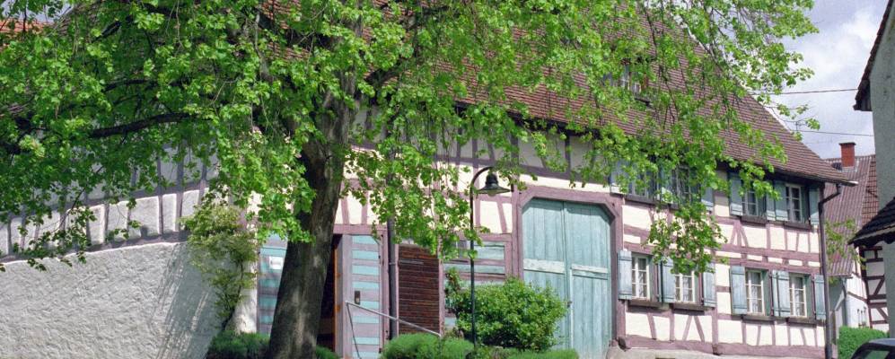 
            Фотография Гайенхофена