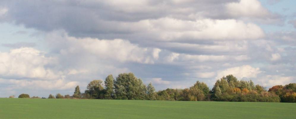 Фотография Скворцово