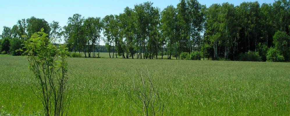 
            Фотография Мешково