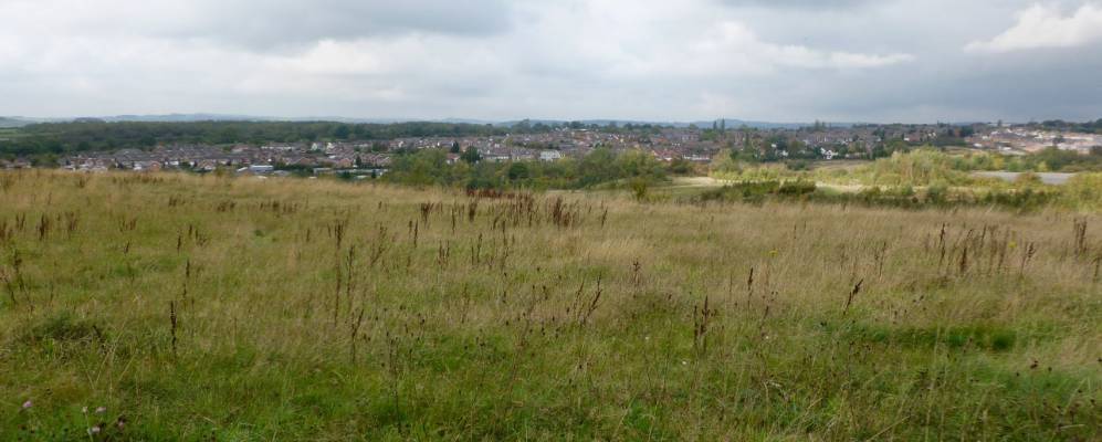 
            Фотография Рипли