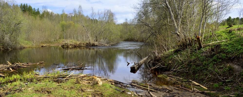 
            Фотография Минино