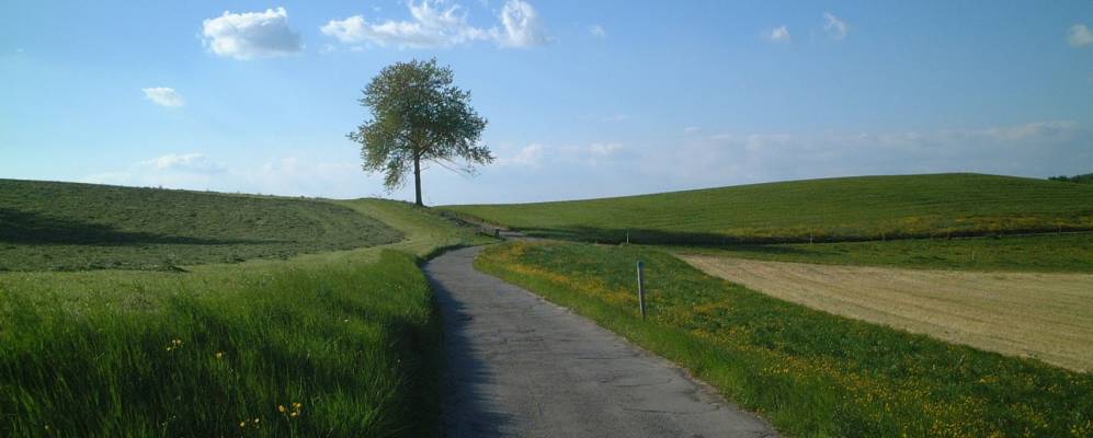 
            Фотография Гифферса