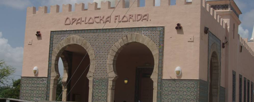 
            Фотография Опа-локы